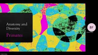 Week 6: Lab 9 &10 - Primate Diversity and Bipedal Locomotion Lectures