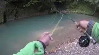 fly fishing for chub