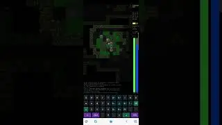 Dungeon Crawl Stone Soup[on my android]