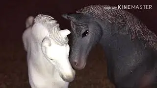 I know what you did last Summer-Schleich Music video
