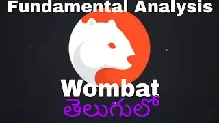 Wombat | Wombat Fundamental Analysis in Telugu