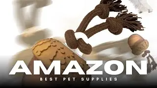 🐶 Endless Play! Motion-Activated Rolling & Bouncing Dog Toy &mdash; Keeps Dogs Happy & Busy 🏃&zwj;♂️