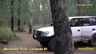 Macalister River Campsite #1