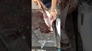Amazing Fish Cutting Skills at the Fish Market. #smnfishcutting #fishcutting #fishcuttingskill