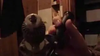 Насадка к шуруповерту из редуктора УШМ.
