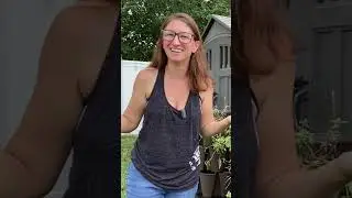 10 лучших овощей для садоводов Флориды