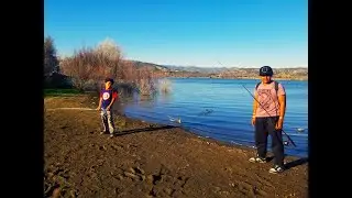 Camping and 'Fishing Logs' at Lake Morena County Park