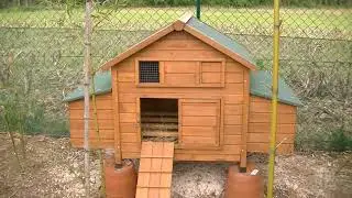 Hunters 12 Garden - Il pollaio
