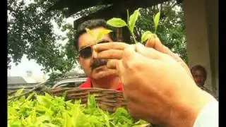 VTS_01_1.VOB Organic Tea -  pest control
