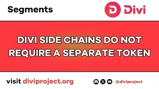Divi Segments -  Divi Side Chains Do Not Require A Separate Token