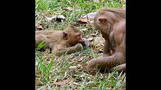 Please hug me up Mummy, don't be careless to me!