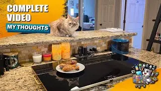 XXL Warming Tray Review &ndash; The Best Buffet Food Warmer?