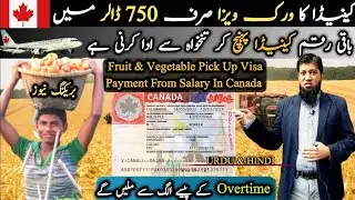 Canada Work Visa Only In 750 Dollars || Rest Amount In Canada By Job || Travel and Visa Advisors