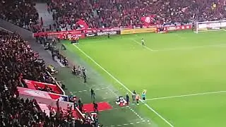 Lille Angers 2019 but sur penalty!