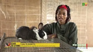 [Echos de la Ferme] Formation et emploi : quand l'université mise sur la pratique