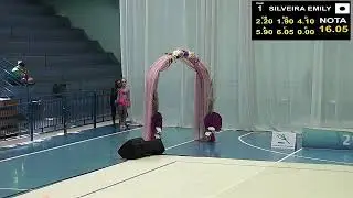 FEDERAÇÃO DE GINÁSTICA DE SANTA CATARINA - Torneio Regional Sul