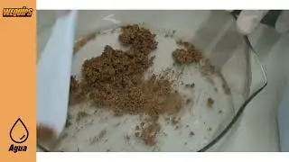 Absorbentes de aceite a base de corcho - CORKSORB