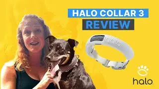 SPLASH-PROOF PUPS! HALO COLLAR 3 BY CESAR MILLAN: WIRELESS GPS FENCE REVIEW & DOG TRAINING