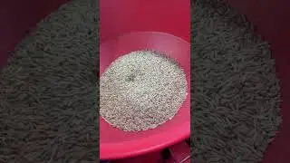 One machine, four functions&mdash;Effortlessly tackle grain processing challenges!#ricemill #machinery
