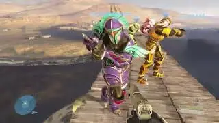 Chaos On Halo