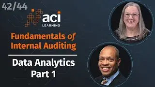 Data Analytics - Part 1 | Fundamentals of Internal Auditing | Part 42 of 44