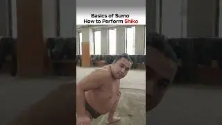 Основы сумо: как выполнять шико
