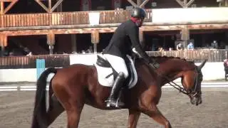 Ambros Harald - Lexikon - CIC* - Pelmberg 2016