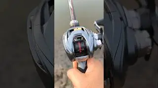 Daiwa Steez A ลื่นแบนี้ 2024 จะถ่อยมาดีไหม #shots #fishing #daiwa #daiwareels