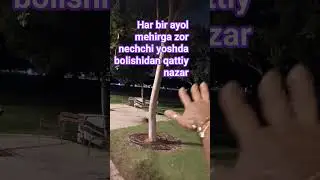 #mehir