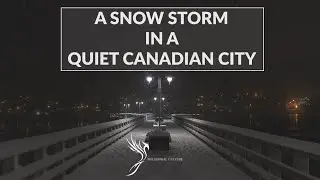 A SNOWY NIGHT in Port Moody, British Columbia [CANADA]