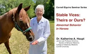Stable Vices: Theirs or Ours? Abnormal Behavior in Horses (Cornell Equine Seminar, Sept. 2023)