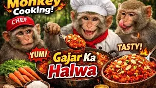 Funny Monkey Cooking Desi Food 🔥 | Bandar Ki Rasoi | Viral Monkey Video