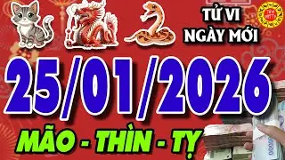 Tử vi tuổi MÃO - THÌN - TỴ ngày 25/1/2025 - Tài Lộc Vào Nhà | Tử Vi Việt TV