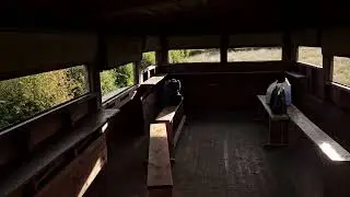 The return to the portbury bird hide