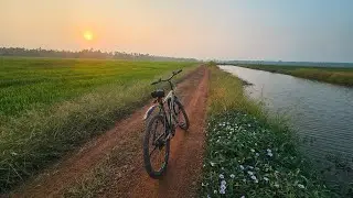 Sunset Cycle Ride Through Alapad Pullu Paddy Fields | Pure Nature Sounds