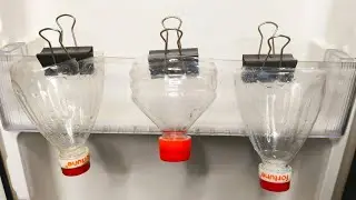 💡Nobody Believes it but it Really Works like Magic | 5 Brilliant Home tricks | Bridge For Hungers 