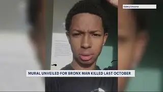 Mural dedicated to Bronx shooting victim unveiled in Morris Heights