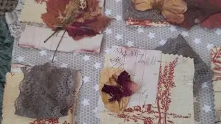 Lara Fuller Earth and Art Project Thursday- Victorian wellbeing altered book