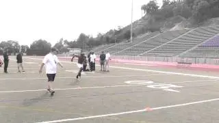 Suicides