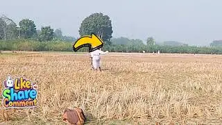 funny video Ghost attack pan Dekho Jab Tak 👻🐸🤡🪱💚