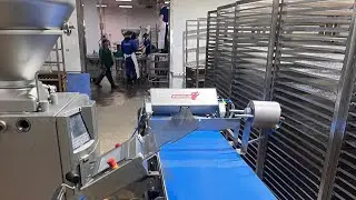 Casing-Free Meat Stick & Jerky Line — Watch How It Works!