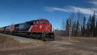 CN 8326 leads a southbound A459 w/ another railfan