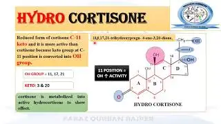 Structure Activity Relationship SAR of Glucocorticoids & Mineralocorticoids | MEDICINAL CHEMISTRY