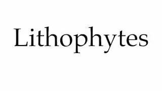 How to Pronounce Lithophytes