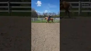 Class 47 Sr Sr Ranch Riding Mark Rutkowski & Docs Golden Asset