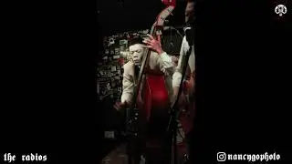 The Radios (japan) live @the doll hut