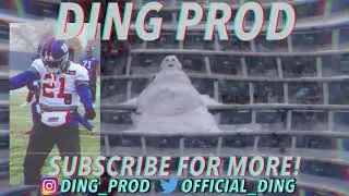 Ding Productions 2020 Christmas Intro