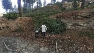Mikon duplication Grand Theft Auto V_