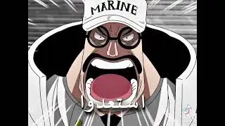 project one piece mard flord