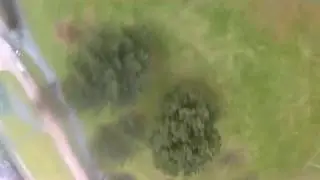 Furibee Firedancer 215 (testflight)